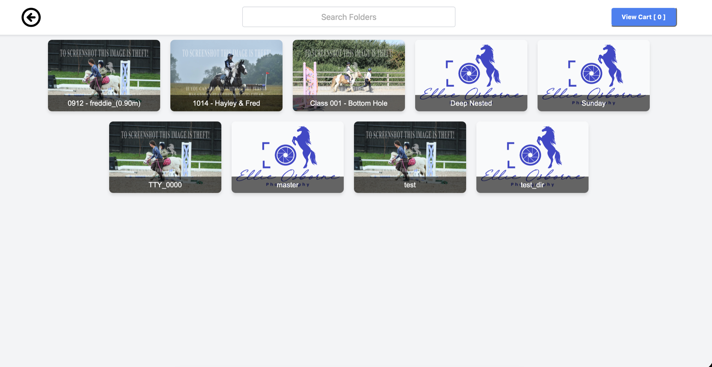 Client-facing gallery with folders of watermarked event photos